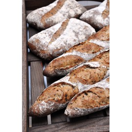 Vita Korn - 2,5kg